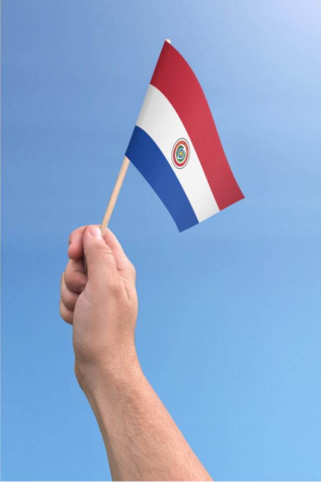 Carga Tribut�ria Reduzida